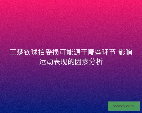 王楚钦球拍受损可能源于哪些环节 影响运动表现的因素分析