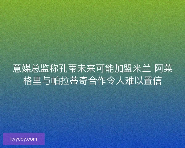 意媒总监称孔蒂未来可能加盟米兰 阿莱格里与帕拉蒂奇合作令人难以置信