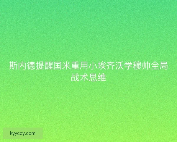 斯内德提醒国米重用小埃齐沃学穆帅全局战术思维